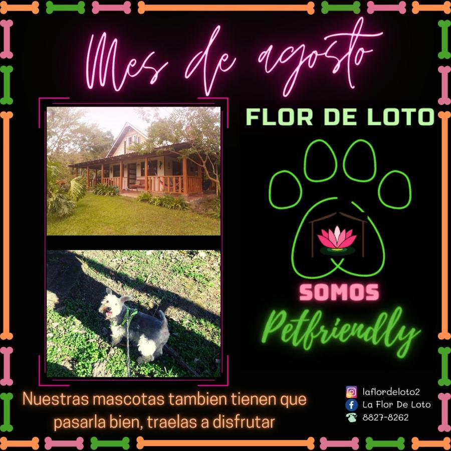 カルタゴ La Flor De Lotoヴィラ エクステリア 写真